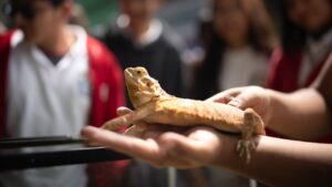 Fortaleciendo la educación cient#latierraquenosune   El Gobierno del Estado, encabezado por Margarita González Saravia, participó en la Expo Ciencia y Tecnología del CBTA No