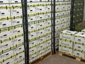 ️ ¡Morelos cumple con su primer embarque de aguacate hacia Canadá!   El envío consistió en 18 mil kilogramos de aguacate producido en Tetela del Volcán, comercializado con la empresa FRB Logistique Inc