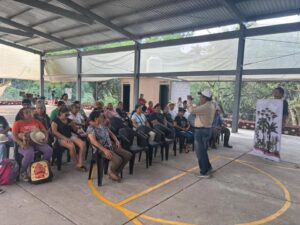 Bienestar Morelos difunde programas Petate de Colores y Semillas de Esperanza en comunidades  La Secretaría de Bienestar, a través de la Dirección General de Construcción de Paz, recorre localidades de alta y muy alta marginación para acercar información sobre:  Petate de Colores : respaldo a proyectos comunitarios de 69 grupos organizados Semillas de Esperanza : fortalecimiento de 41 huertos agroforestales comunitarios   Se visitan municipios como Coatetelco, Axochiapan, Jojutla, Tlaltizapán, Cuautla, Jonacatepec, Huitzilac, Ayala, Tetela del Volcán, Tlayacapan, Jiutepec, Tepalcingo, Tlaquiltenango, Hueyapan, Atlatlahucan y Xochitepec