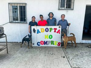 ¡13 perritos ya tienen hogar en Cuernavaca! ️  Gracias al trabajo de Protección Animal y asociaciones civiles, 13 perritos bajo resguardo municipal han sido adoptados este 2026