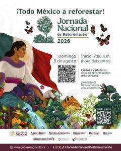 ¡Morelos se suma a la Jornada Nacional de Reforestación 2026!  Este domingo 9 de agosto, súmate a sembrar vida y contribuir a la conservación del Bosque de Agua, uno de los ecosistemas más importantes para la captación y recarga de agua en el centro del país    Paraje Los Pilares, Huitzilac  07:00 horas  Con la participación de la gobernadora Margarita González Saravia, plantaremos 18 mil árboles de pino Moctezuma y pino lacio en 22 hectáreas, como parte de la estrategia nacional impulsada por la presidenta Claudia Sheinbaum Pardo    Cada árbol que plantamos hoy es un paso para proteger nuestro medio ambiente y construir un mejor futuro para las próximas generaciones