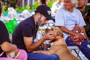 ¡Esterilización gratuita para perros y gatos en Cuernavaca!  Por segundo año, la ciudad es sede de la V Jornada de Esterilización Masiva “CastraLat”, que se hace al mismo tiempo en unos 20 países de América Latina    Sede Papagayo del Ayuntamiento de Cuernavaca  La participación sigue abierta: puedes ir con tu mascota  La organiza Seres Sintientes Morelos A