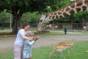 Niñas, niños y adolescentes del Casodi realizan visita didáctica a Zoofari  Residentes del Centro de Asistencia Social para Personas con Discapacidad (Casodi) participaron en un recorrido interactivo por las instalaciones del Centro de Conservación Zoofari, espacio que resguarda a más de 1,500 ejemplares de diversas especies